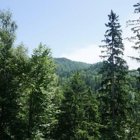 Na Rebri Luče